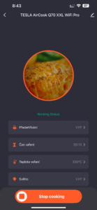 horkovzdušná fritéza aplikace